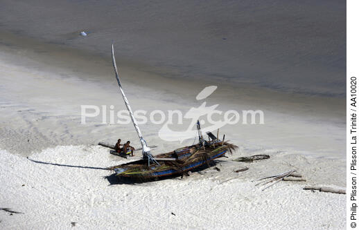 Jangada sur le sable brésilien. - © Philip Plisson / Plisson La Trinité / AA10020 - Nos reportages photos - Jangadas do Brazil