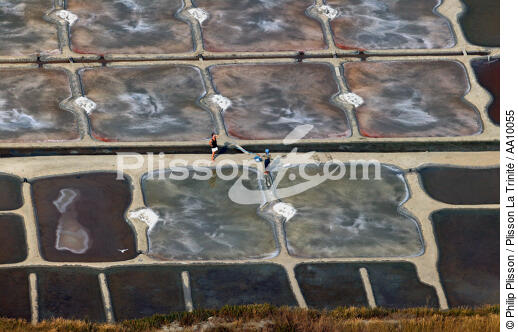Salt marshes in Guérande. - © Philip Plisson / Plisson La Trinité / AA10055 - Photo Galleries - Woman