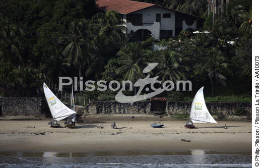 Jangada sur une plage brésilienne. - © Philip Plisson / Plisson La Trinité / AA10073 - Nos reportages photos - Palmier