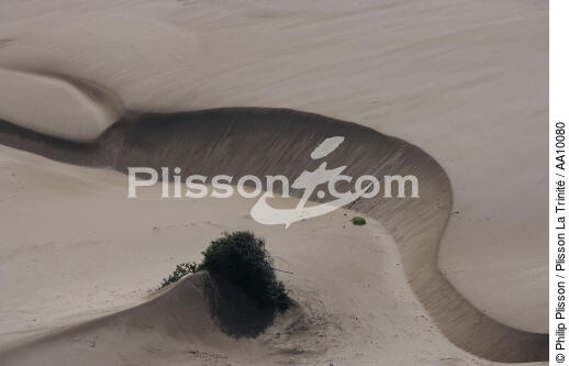Plage brésilienne. - © Philip Plisson / Plisson La Trinité / AA10080 - Nos reportages photos - Dune