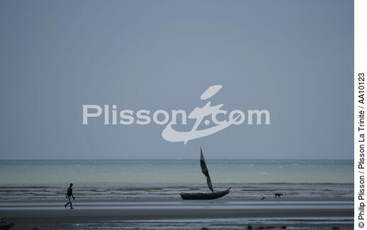 Fin de journée sur une plage de Jericoacoara. - © Philip Plisson / Plisson La Trinité / AA10123 - Nos reportages photos - Chien