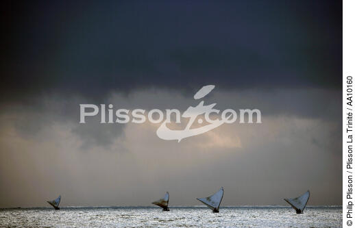 Jangadas en mer. - © Philip Plisson / Plisson La Trinité / AA10160 - Nos reportages photos - Ciel de grain