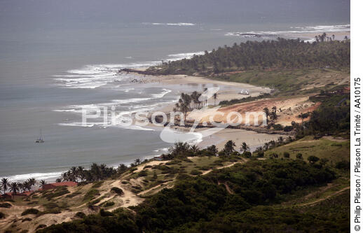 Paysage littoral du Brésil. - © Philip Plisson / Plisson La Trinité / AA10175 - Nos reportages photos - Palmier