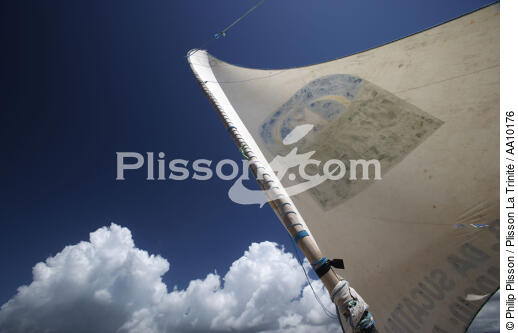 Aerofoil of a Jangada. - © Philip Plisson / Plisson La Trinité / AA10176 - Photo Galleries - Brazil