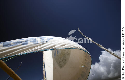 Aerofoil of a Jangada. - © Philip Plisson / Plisson La Trinité / AA10177 - Photo Galleries - Caponga