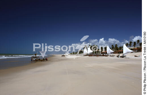 Jangadas on a beach of Caponga. - © Philip Plisson / Plisson La Trinité / AA10180 - Photo Galleries - Jangada