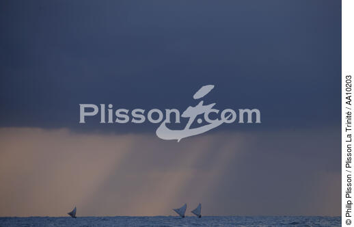Ciel de grain sur Caponga. - © Philip Plisson / Plisson La Trinité / AA10203 - Nos reportages photos - Ciel de grain