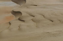 Desert in Ceara. © Philip Plisson / Plisson La Trinité / AA10242 - Photo Galleries - Sand