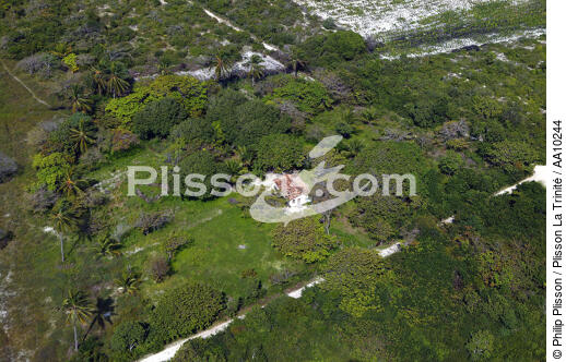 Littoral landscape of Ceara. - © Philip Plisson / Plisson La Trinité / AA10244 - Photo Galleries - Leaves