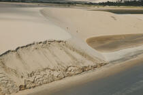 Littoral landscape of Ceara. © Philip Plisson / Plisson La Trinité / AA10246 - Photo Galleries - Sand