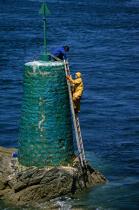 Cleaning of beacon. © Philip Plisson / Plisson La Trinité / AA10313 - Photo Galleries - Buoys and beacons
