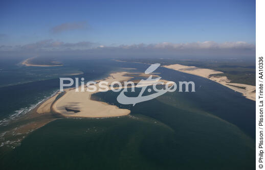 The Arguin Sand Bank. - © Philip Plisson / Plisson La Trinité / AA10336 - Photo Galleries - Arguin Sand Bank [The]
