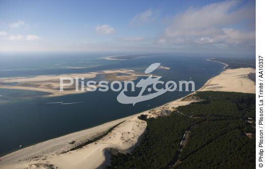 The Arguin Sand Bank. - © Philip Plisson / Plisson La Trinité / AA10337 - Photo Galleries - Aquitaine