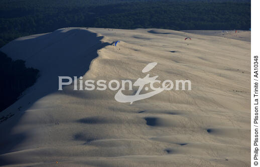 Parapentes sur la Dune du Pilat. - © Philip Plisson / Plisson La Trinité / AA10348 - Nos reportages photos - Gironde