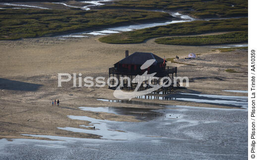 House on piles on the island of Oiseaux. - © Philip Plisson / Plisson La Trinité / AA10359 - Photo Galleries - Low tide