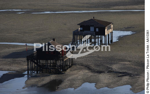 Houses on piles on the island of Oiseaux. - © Philip Plisson / Plisson La Trinité / AA10361 - Photo Galleries - Low tide