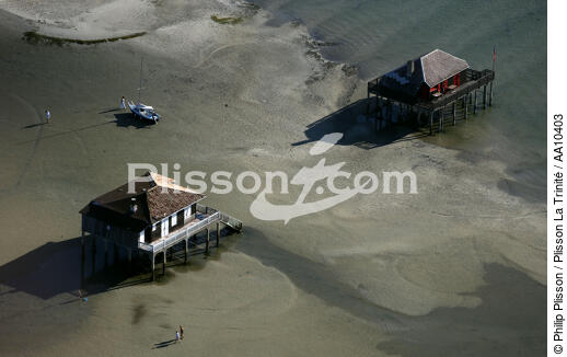 Maisons sur pilotis sur l' île aux Oiseaux. - © Philip Plisson / Plisson La Trinité / AA10403 - Nos reportages photos - Oiseaux [Ile aux]