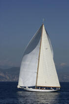 Cambria - Classic Week 2005. © Philip Plisson / Plisson La Trinité / AA10473 - Photo Galleries - Classic Yachting