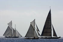 Classic Week 2005. © Philip Plisson / Plisson La Trinité / AA10490 - Nos reportages photos - Goélette [Yachting]