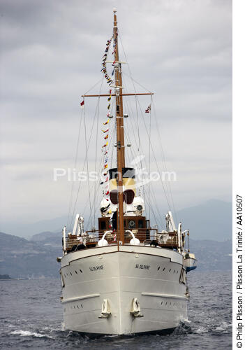SS Delphine - Classic Week 2005. - © Philip Plisson / Plisson La Trinité / AA10507 - Photo Galleries - Classic Week 2005