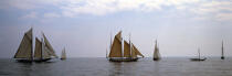 Classic Week 2005. © Philip Plisson / Plisson La Trinité / AA10546 - Photo Galleries - Schooner [Yachting]