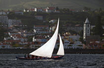 Whaling boat in Azores. © Philip Plisson / Plisson La Trinité / AA10598 - Photo Galleries - Faial and Pico islands in the Azores