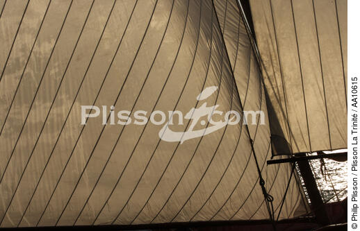 Sailof a whaling boat in the Azores. - © Philip Plisson / Plisson La Trinité / AA10615 - Photo Galleries - Azores [The]