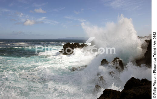 Côte de l' île Pico aux Açores. - © Philip Plisson / Plisson La Trinité / AA10662 - Nos reportages photos - Rocher