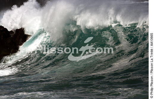 Côte de l' île Pico aux Açores. - © Philip Plisson / Plisson La Trinité / AA10665 - Nos reportages photos - Côte sauvage