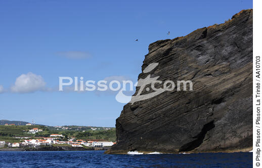 Cliff in the Azores. - © Philip Plisson / Plisson La Trinité / AA10703 - Photo Galleries - Portugal