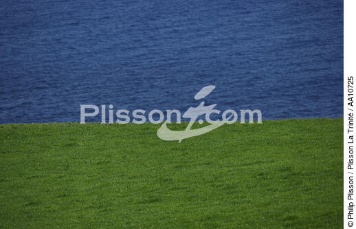 Faial Island in the Azores. - © Philip Plisson / Plisson La Trinité / AA10725 - Photo Galleries - Grass