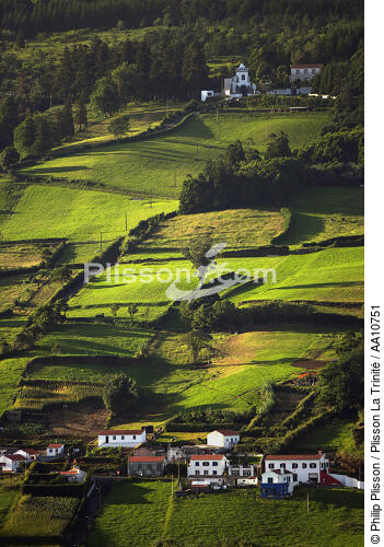 Countryside on Faial in the Azores. - © Philip Plisson / Plisson La Trinité / AA10751 - Photo Galleries - Field