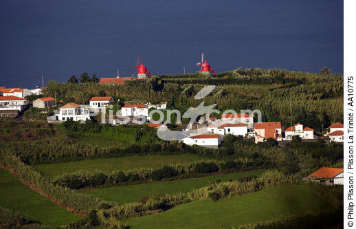 Vue sur la campagne de l'île Faial aux Açores. - © Philip Plisson / Plisson La Trinité / AA10775 - Nos reportages photos - Faial