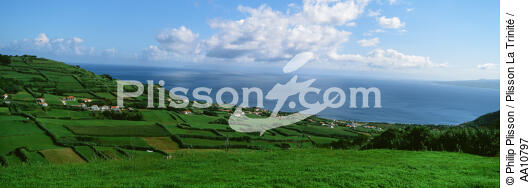 L' île Faial aux Açores. - © Philip Plisson / Plisson La Trinité / AA10797 - Nos reportages photos - Portugal