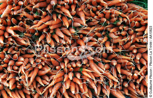 Carotts. - © Guillaume Plisson / Plisson La Trinité / AA10823 - Photo Galleries - Vegetable