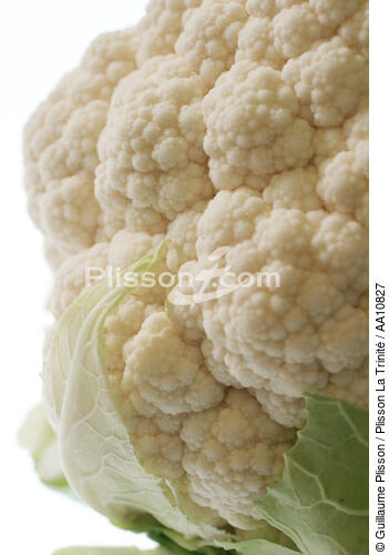 Cauliflower. - © Guillaume Plisson / Plisson La Trinité / AA10827 - Photo Galleries - Flora