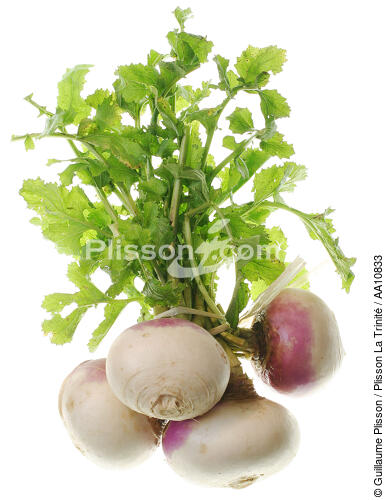 Turnips. - © Guillaume Plisson / Plisson La Trinité / AA10833 - Photo Galleries - Flora