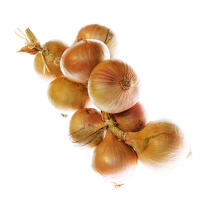 Onions. © Guillaume Plisson / Plisson La Trinité / AA10834 - Photo Galleries - Gourmet food