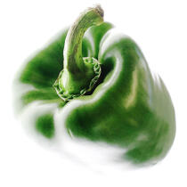 Green pepper. © Guillaume Plisson / Plisson La Trinité / AA10842 - Photo Galleries - Flora