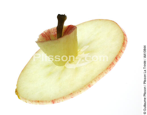 Apple. - © Guillaume Plisson / Plisson La Trinité / AA10844 - Photo Galleries - Flora