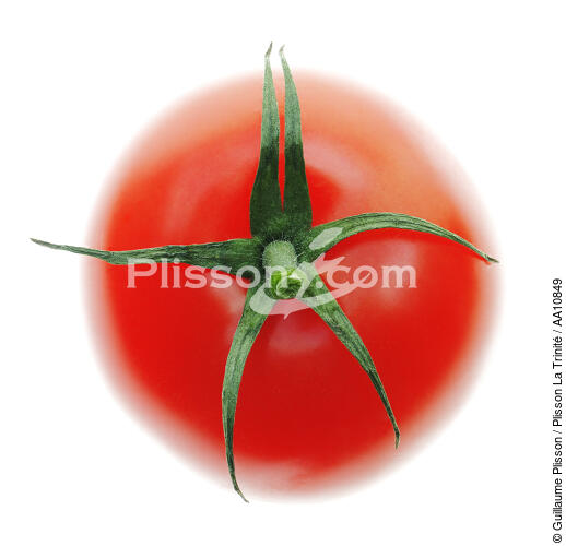 Tomate. - © Guillaume Plisson / Plisson La Trinité / AA10849 - Nos reportages photos - Format carré