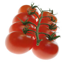 Tomatos in bunch © Guillaume Plisson / Plisson La Trinité / AA10850 - Photo Galleries - Vegetable