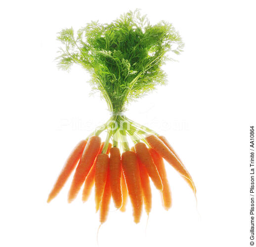 Botte de carottes. - © Guillaume Plisson / Plisson La Trinité / AA10864 - Nos reportages photos - Légume