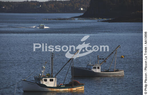Bateaux de pêche sur la côte de la ville de Lubec dans l'Etat du Maine. - © Philip Plisson / Plisson La Trinité / AA10898 - Nos reportages photos - Couleurs d'Automne en Nouvelle Angleterre