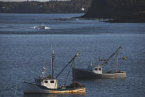 Bateaux de pêche sur la côte de la ville de Lubec dans l'Etat du Maine. © Philip Plisson / Plisson La Trinité / AA10898 - Nos reportages photos - Mer calme