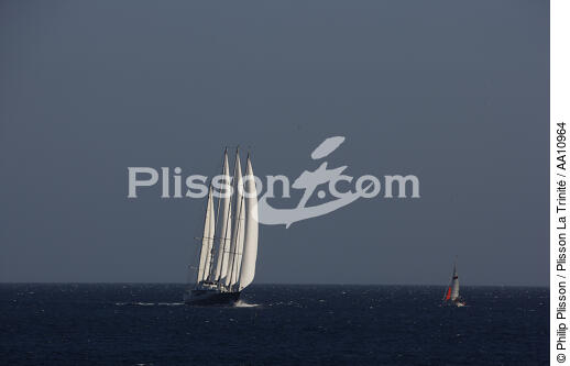 The Phocéa. - © Philip Plisson / Plisson La Trinité / AA10964 - Photo Galleries - Four-masted schooner
