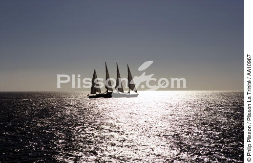 The Phocéa. - © Philip Plisson / Plisson La Trinité / AA10967 - Photo Galleries - Four masts