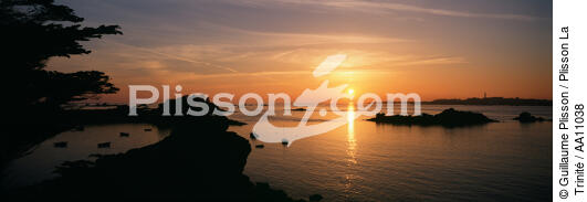 Coucher de soleil entre l'Ile de Batz et Roscoff. - © Guillaume Plisson / Plisson La Trinité / AA11038 - Nos reportages photos - Flore