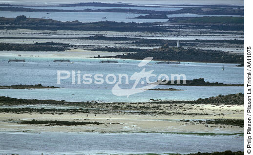 L'Aber-Wrac'h. - © Philip Plisson / Plisson La Trinité / AA11075 - Photo Galleries - Low tide