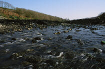 L'Aber-Wrac'h à marée basse. © Philip Plisson / Plisson La Trinité / AA11079 - Nos reportages photos - Marée
